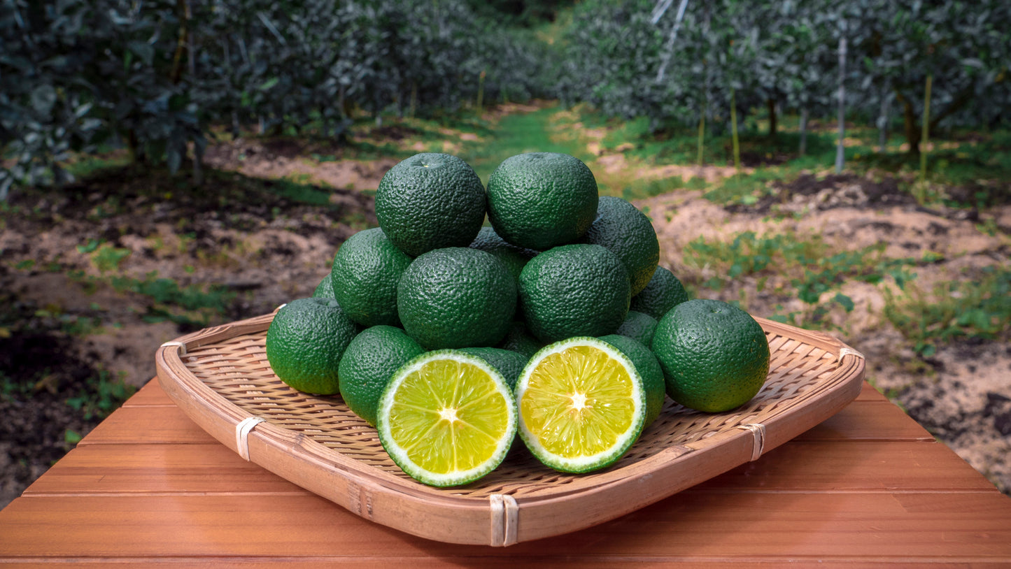 <12周年記念> さなみどりと獺祭（すだちと日本酒）（数量限定）